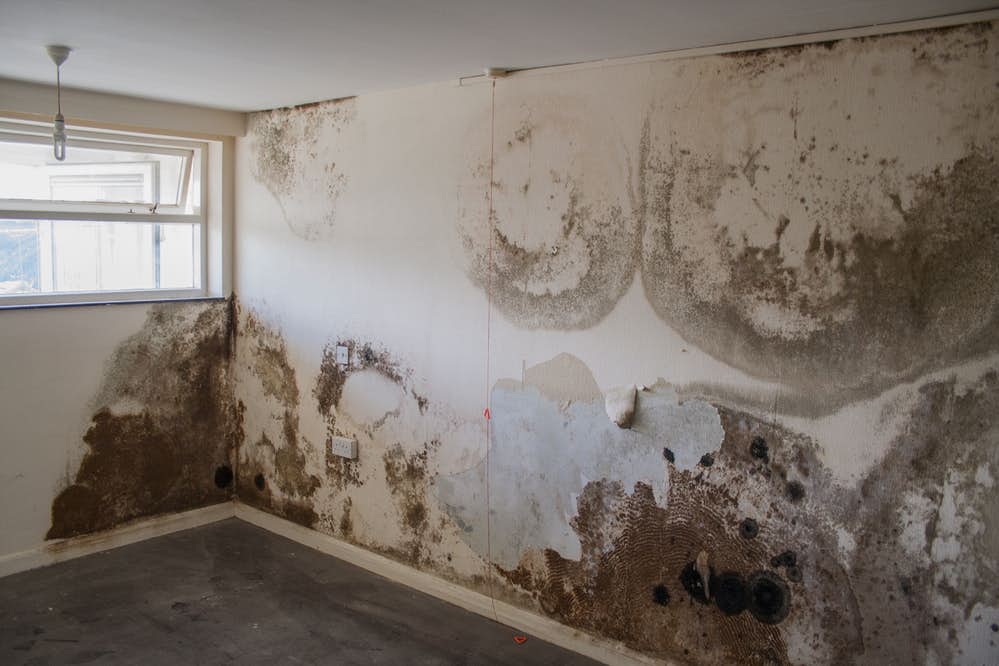 penetrating-damp