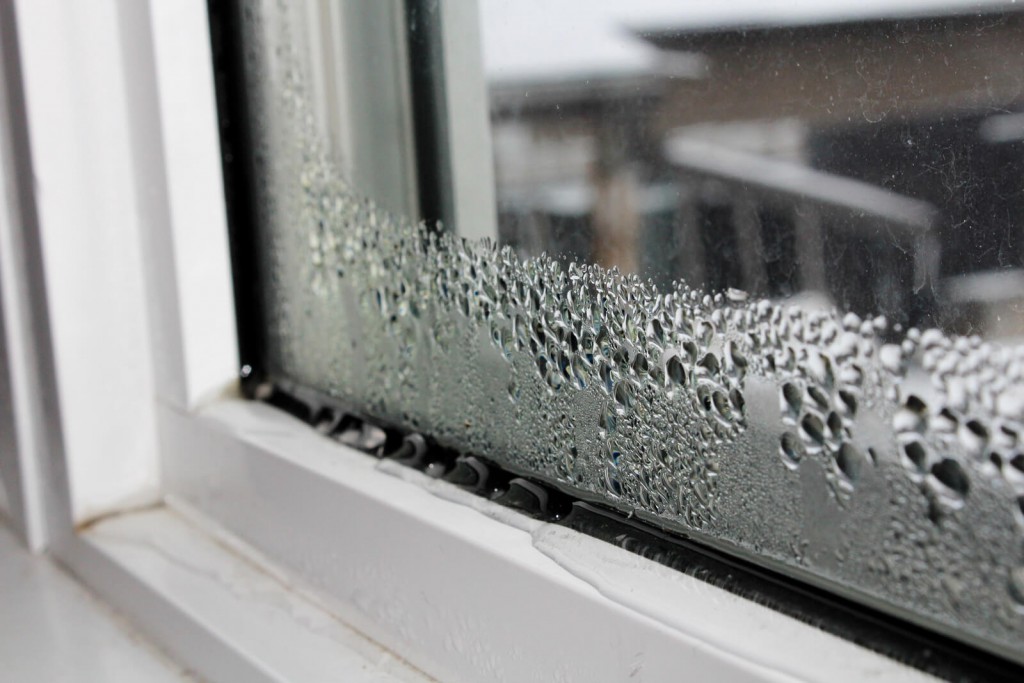 window-condensation
